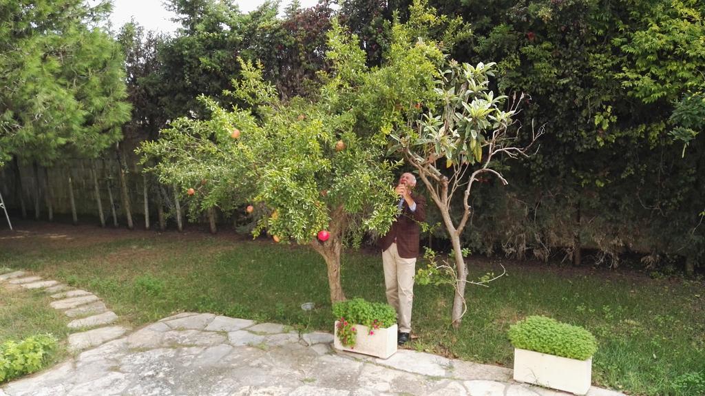 Villa Memia Lendinuso Bagian luar foto